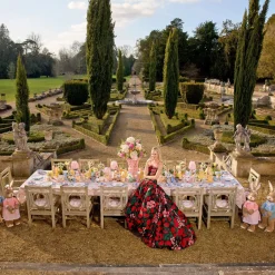 Mrs. Alice Place Settings & Linens|Pink Ikat Tablecloth