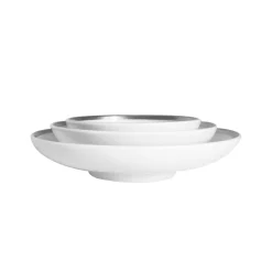 Twig NY Dinnerware|Platinum Edge Set of 3 Canapé Dishes