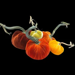 Hot Skwash Living|Décor|Pumpkin Bundle in Pumpkin Patch