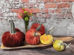 Hot Skwash Living|Décor|Pumpkin Patch, 012