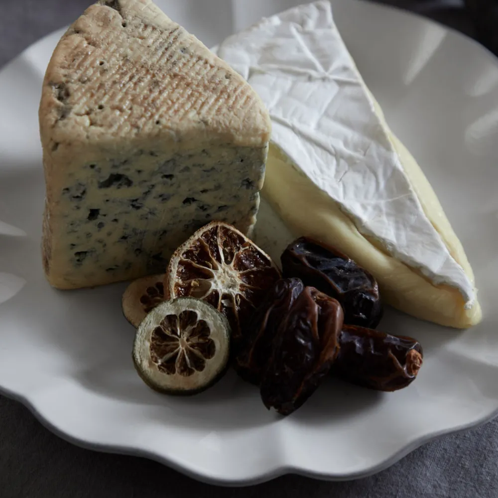 Costa Nova Dinnerware|Rosa Collection Salad Plates in White, Set of 6