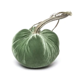 Hot Skwash Living|Décor|Sage Silk Velvet Pumpkin