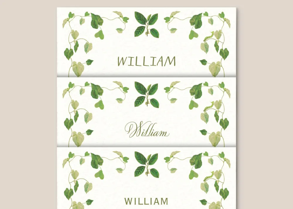 Casa Felix Place Settings & Linens|Selva Place Cards