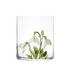 Petra Palumbo Glassware|Snowdrop Crystal Tumbler