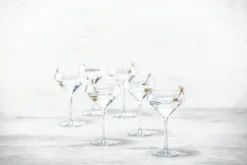 Fortessa Glassware|Sole Outdoor Martini Glass, Set of 6