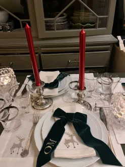 TriChi Design Place Settings & Linens|Sparkling Reindeer Napkin, Set of 4