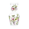 Petra Palumbo Glassware|Sweet Pea Carafe And Tumbler