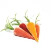 Hot Skwash Living|Décor|Traditional Carrots