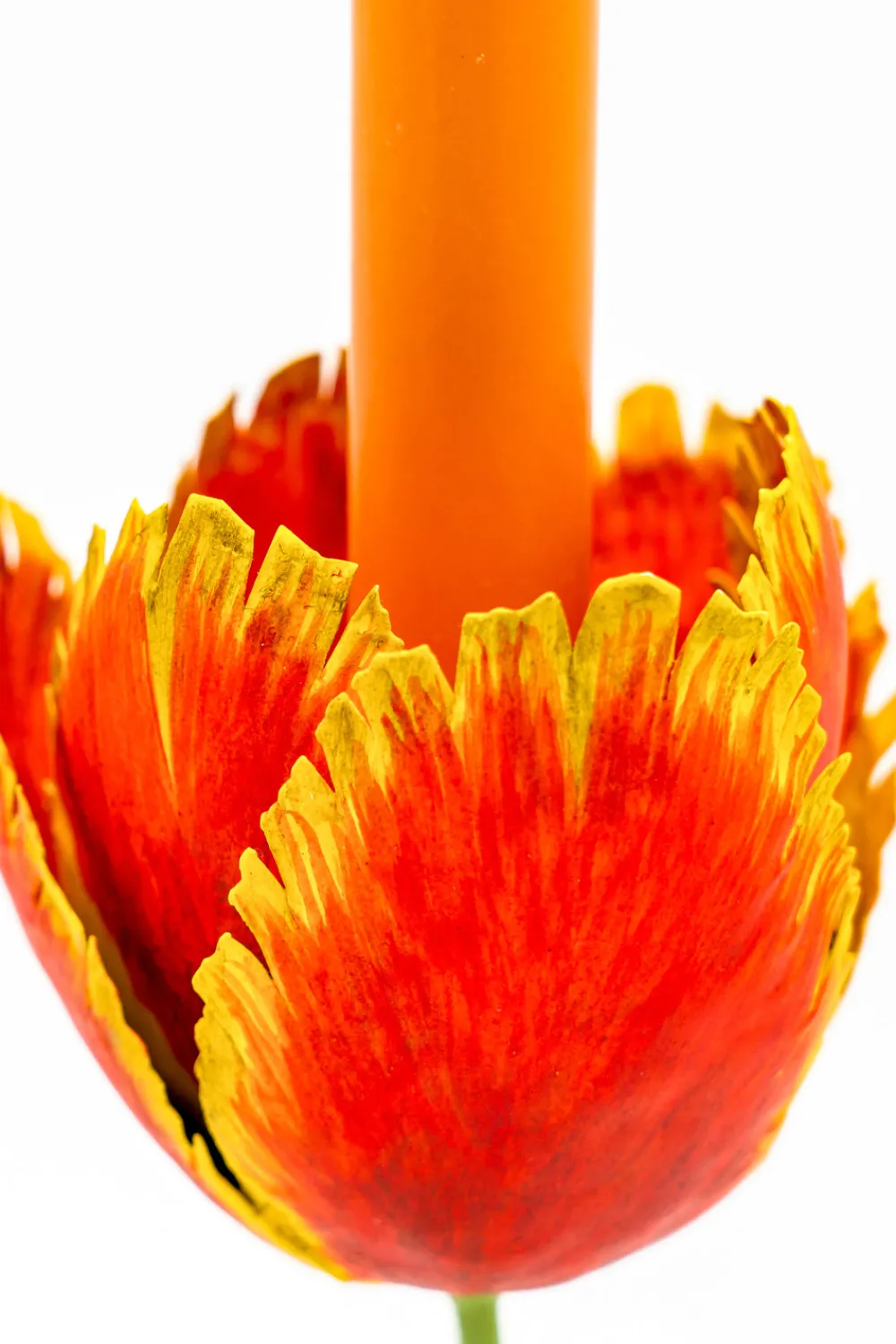 Inner Child Candles|Tulip Candleholders Medium 10"