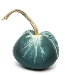 Hot Skwash Living|Décor|Wedgewood Silk Velvet Pumpkin