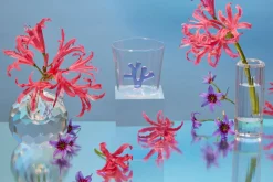 Sprezz Glassware|Whimsical Tumbler Glasses, Set of 4