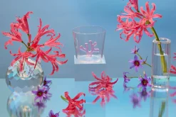 Sprezz Glassware|Whimsical Tumbler Glasses, Set of 4