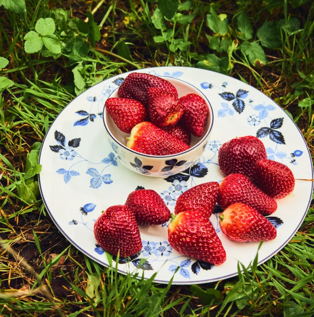Wedgwood Dinnerware|Wild Strawberry Inky Blue Side Plate 8.1in