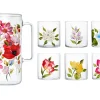 Petra Palumbo Glassware|Wildflowers Jug with Set of 6 Tumblers