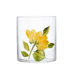 Petra Palumbo Glassware|Wildflowers Jug with Set of 6 Tumblers