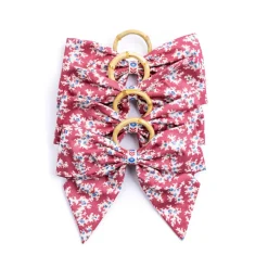 Maria Louise Cottage Place Settings & Linens|Willow Creek Napkin Rings in Red, Set of 4