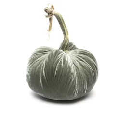 Hot Skwash Living|Décor|Willow Silk Velvet Pumpkin